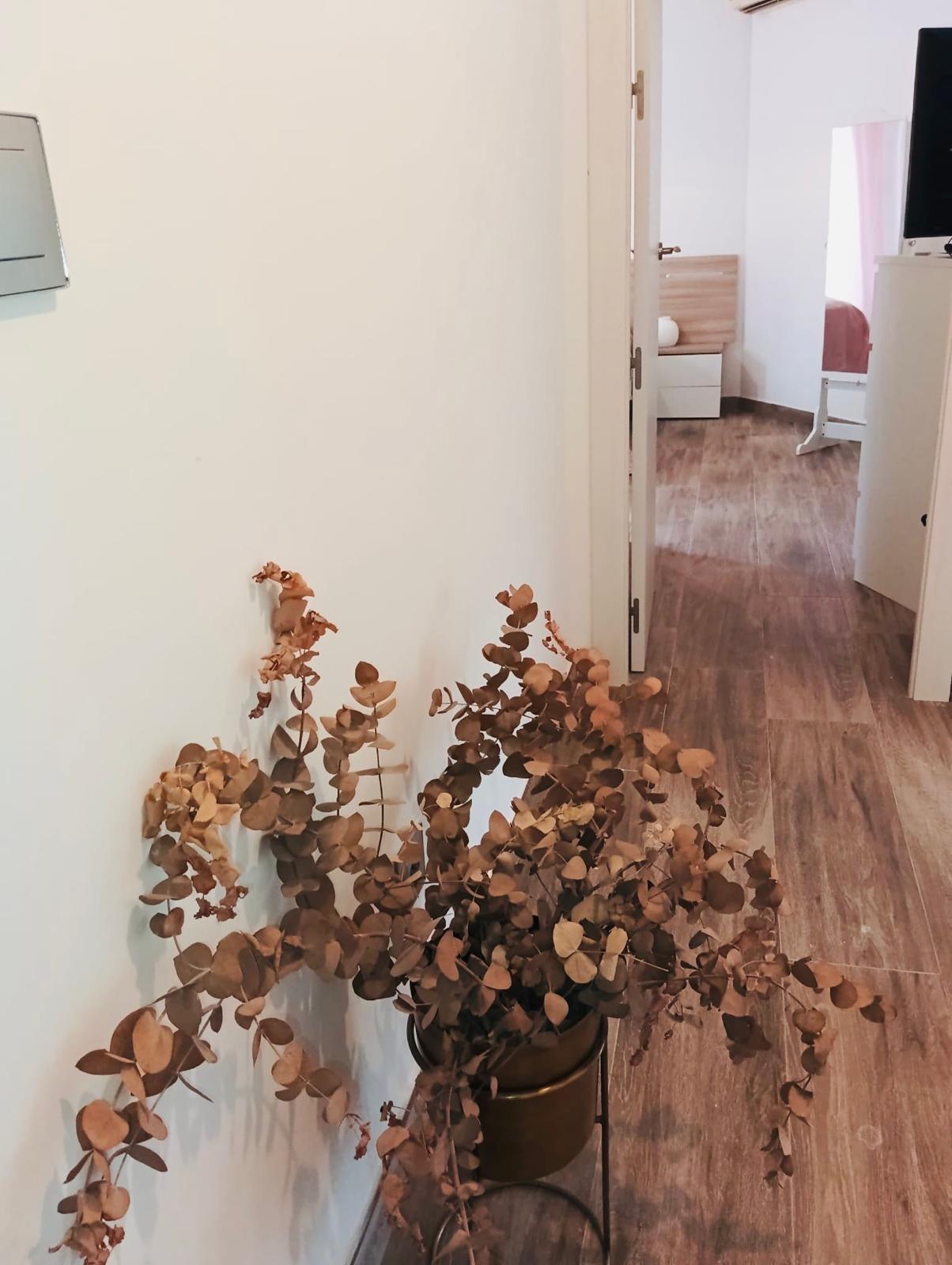 Casas o chalets-Venta-Murcia-1743705-Foto-11