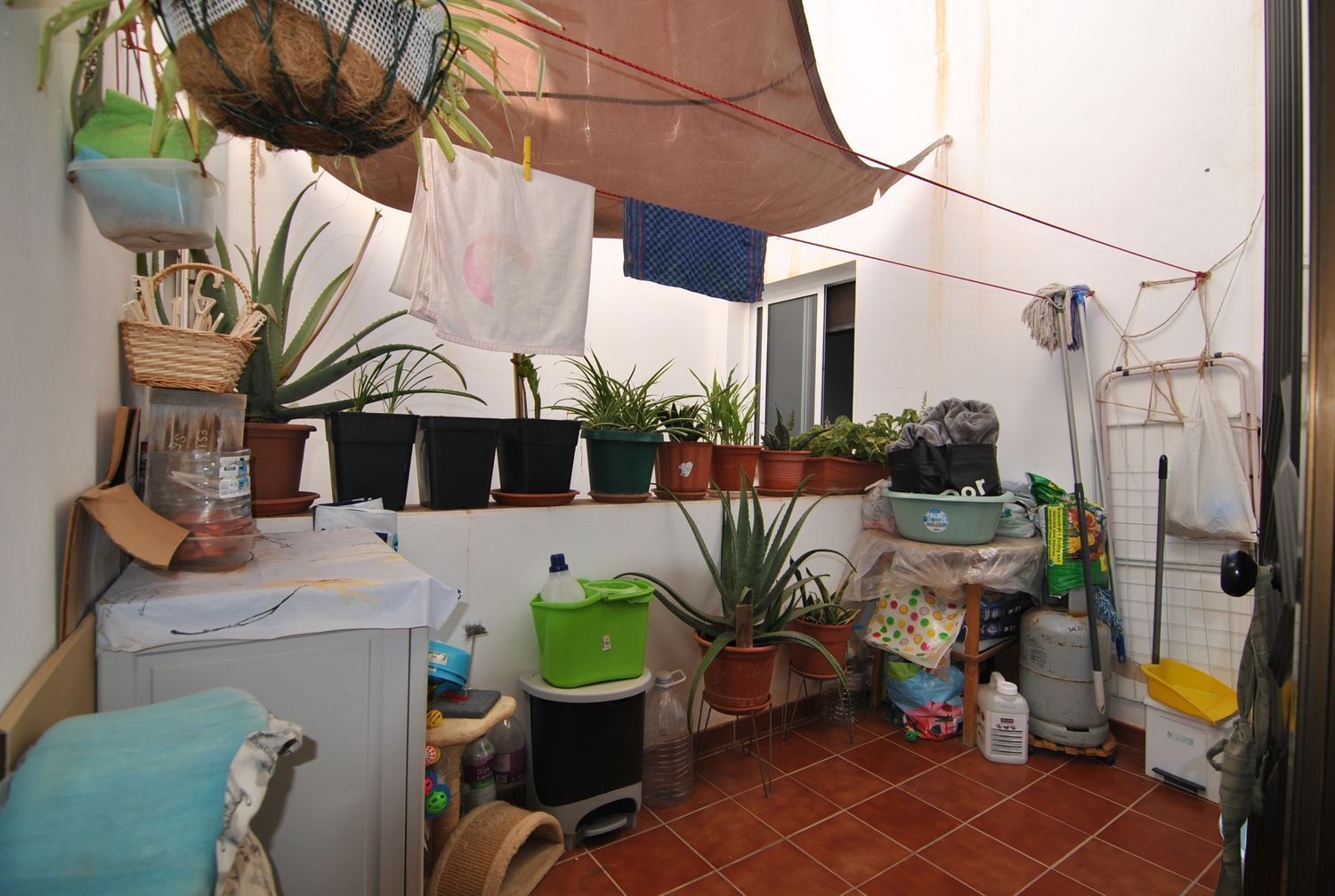 Pisos-Venta-Puerto del Rosario-1727870-Foto-15