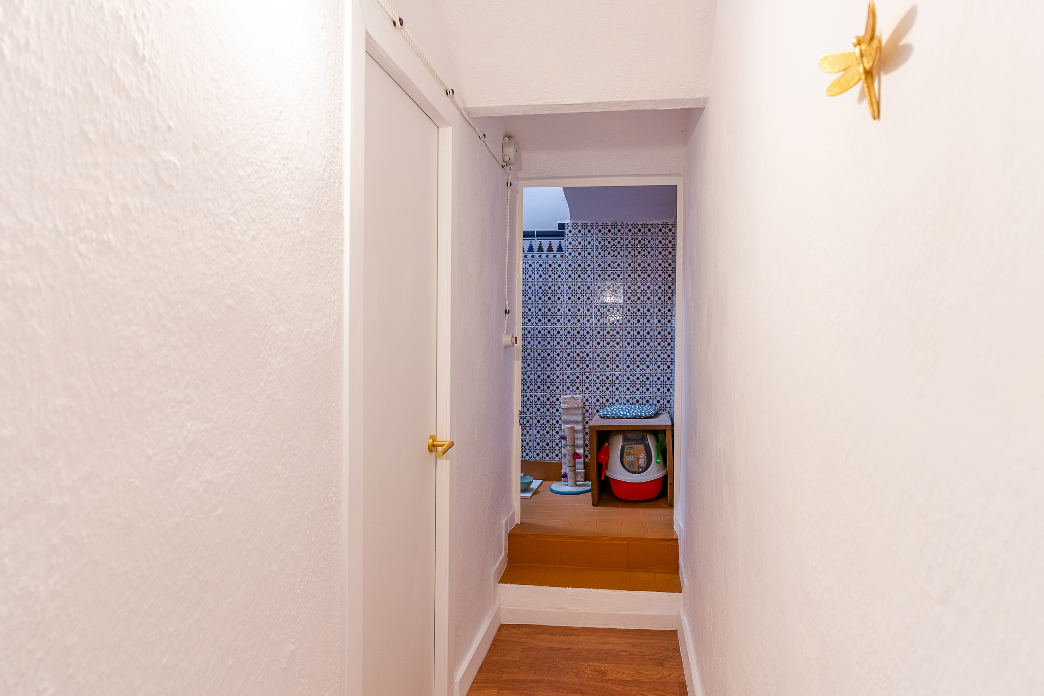 Casas o chalets-Venta-Arcos de la Frontera-1717068-Foto-29