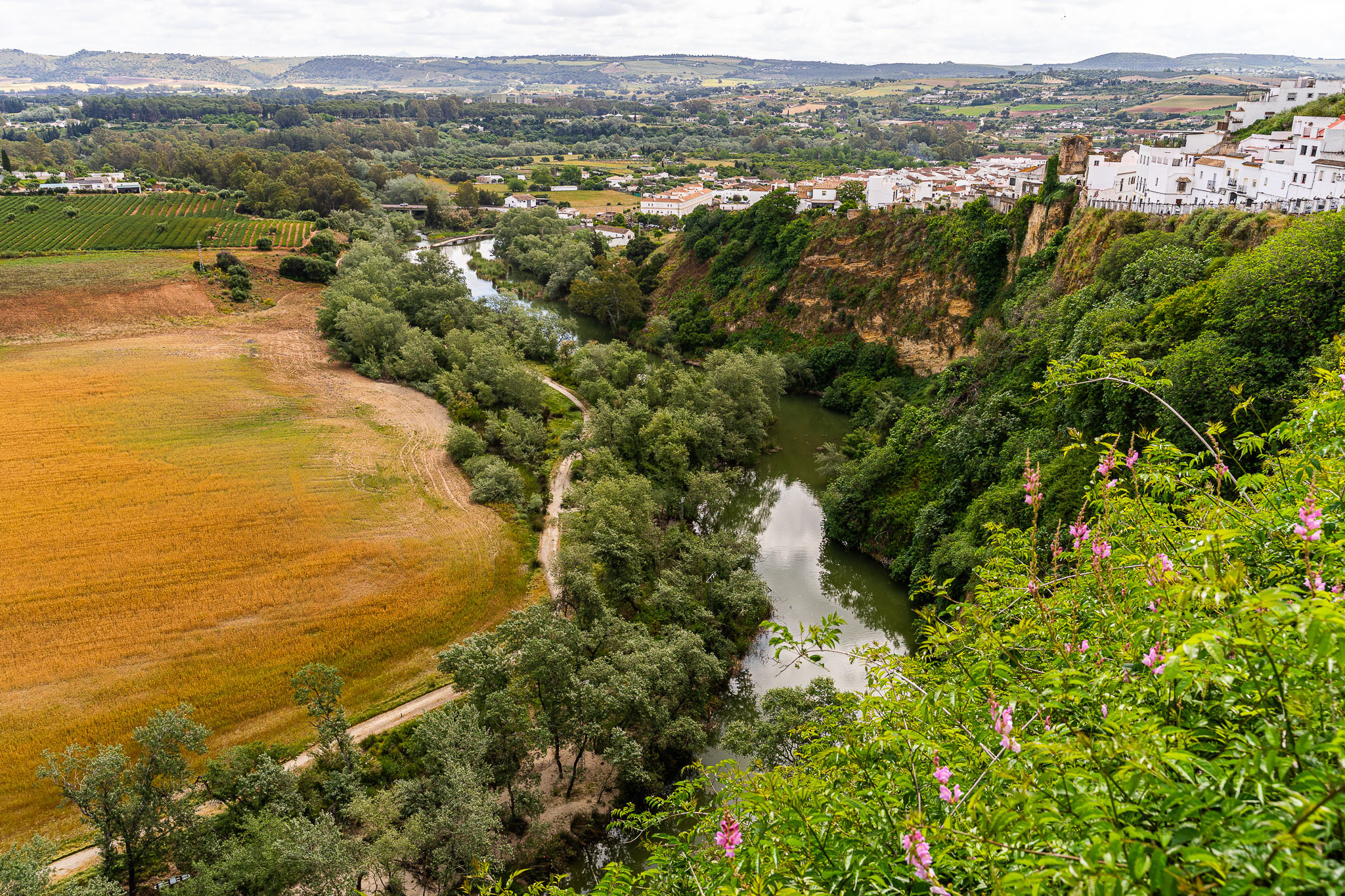 Casas o chalets-Venta-Arcos de la Frontera-1717068-Foto-35