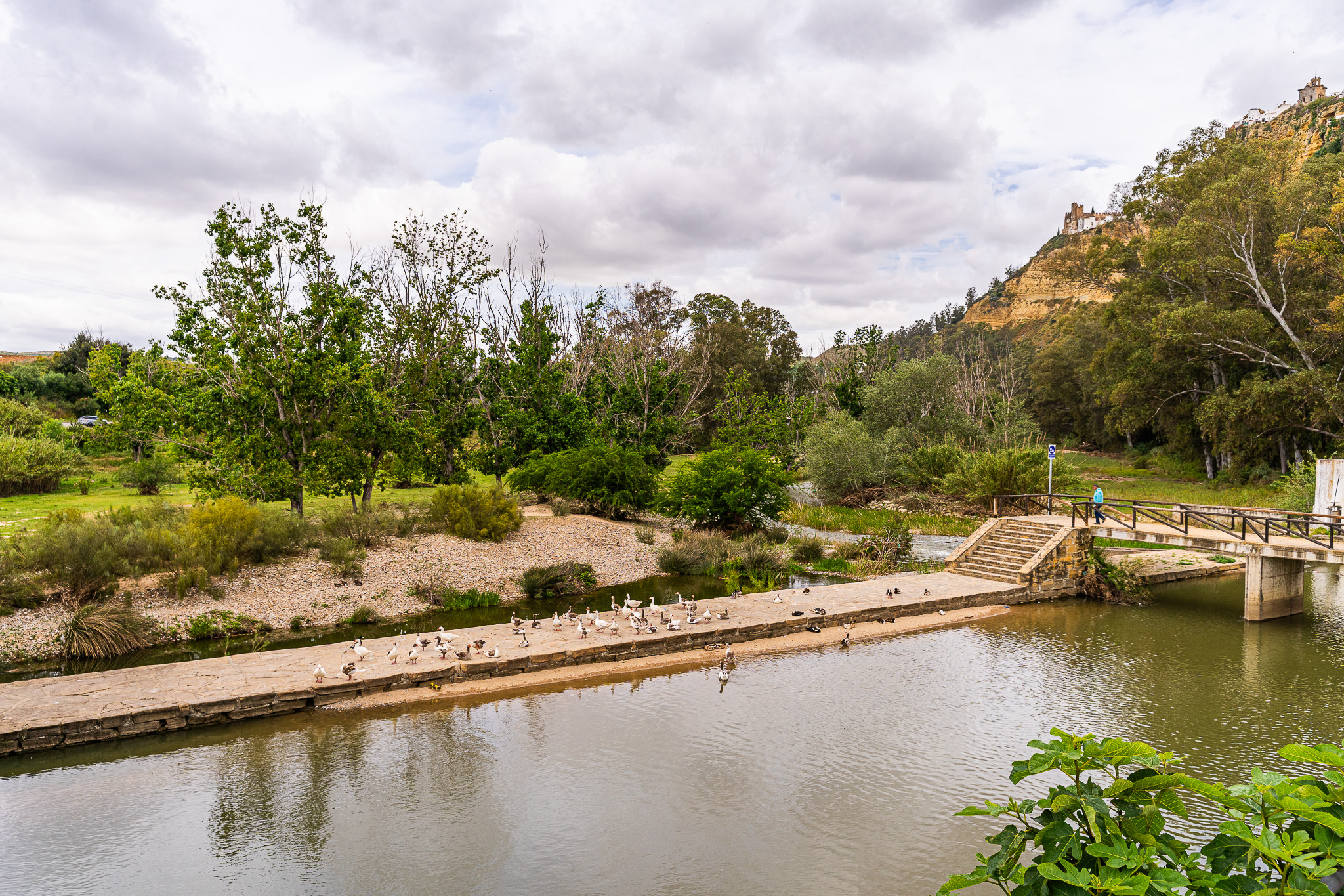 Casas o chalets-Venta-Arcos de la Frontera-1717068-Foto-39