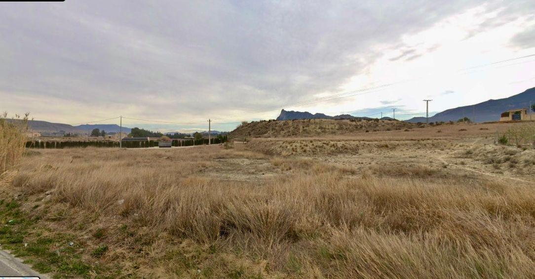Fincas y solares-Venta-Cieza-1729140-Foto-3