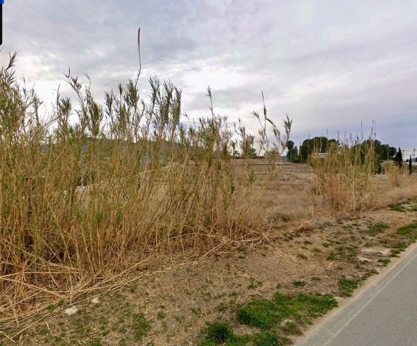 Fincas y solares-Venta-Cieza-1729140-Foto-5