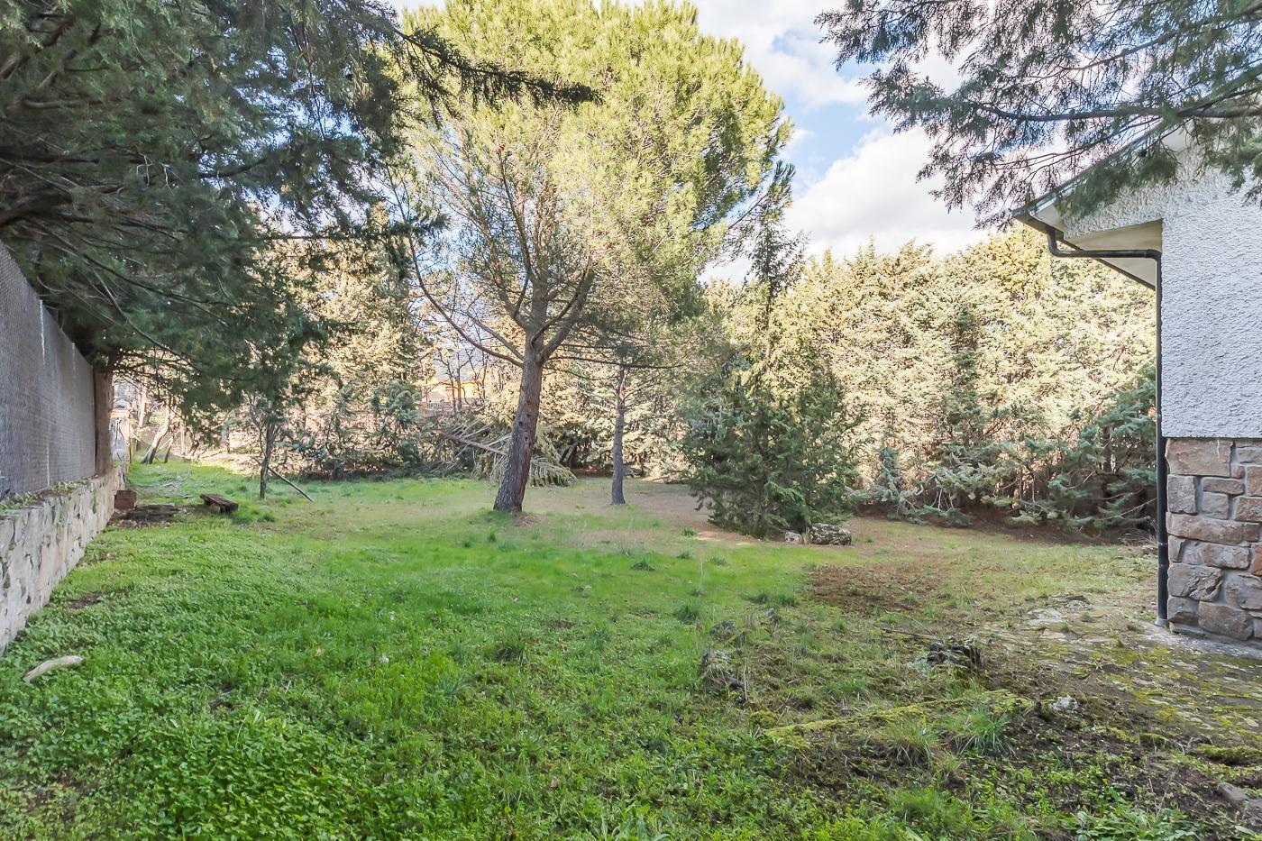 Casas o chalets-Venta-Navacerrada-1729143-Foto-64
