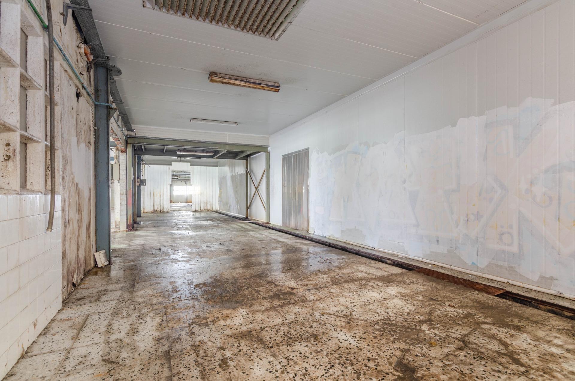 Naves-Venta-PiloÃ±a-1730320-Foto-26