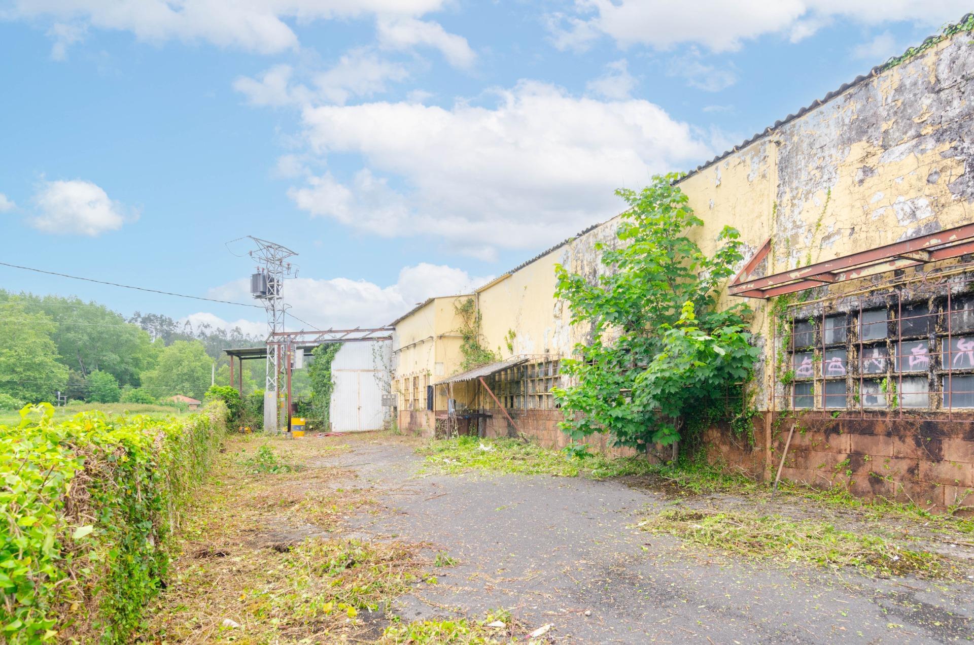 Naves-Venta-PiloÃ±a-1730320-Foto-45