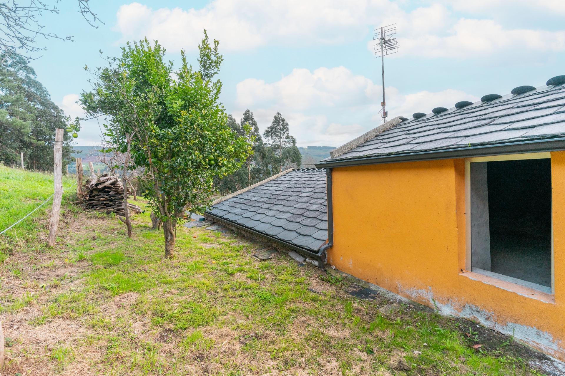 Casas o chalets-Venta-San Tirso de Abres-1483013-Foto-24