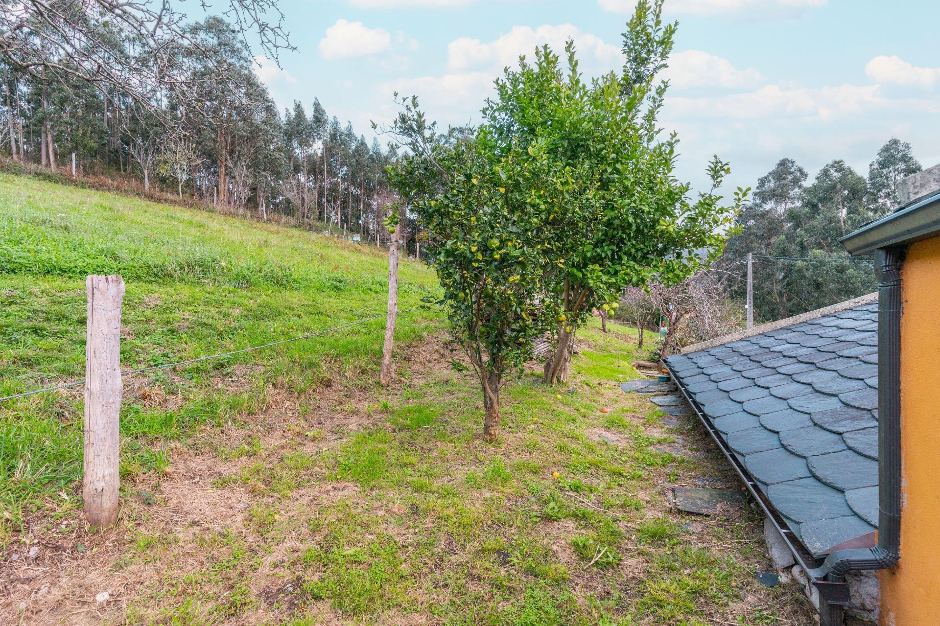 Casas o chalets-Venta-San Tirso de Abres-1483013-Foto-31
