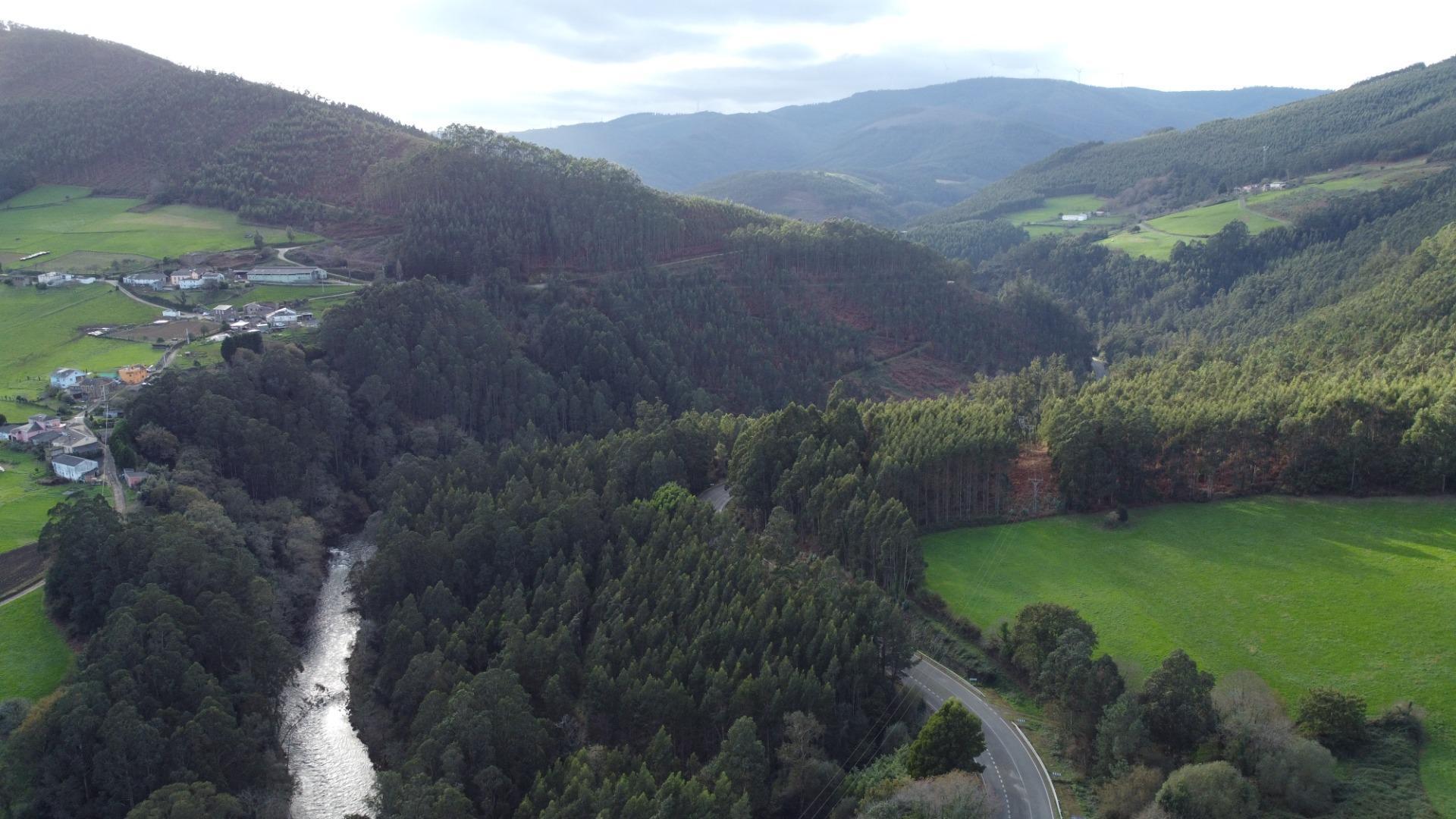 Casas o chalets-Venta-San Tirso de Abres-1483013-Foto-43