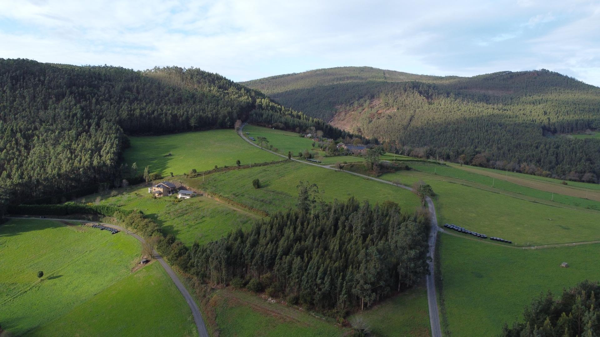 Casas o chalets-Venta-San Tirso de Abres-1483013-Foto-46