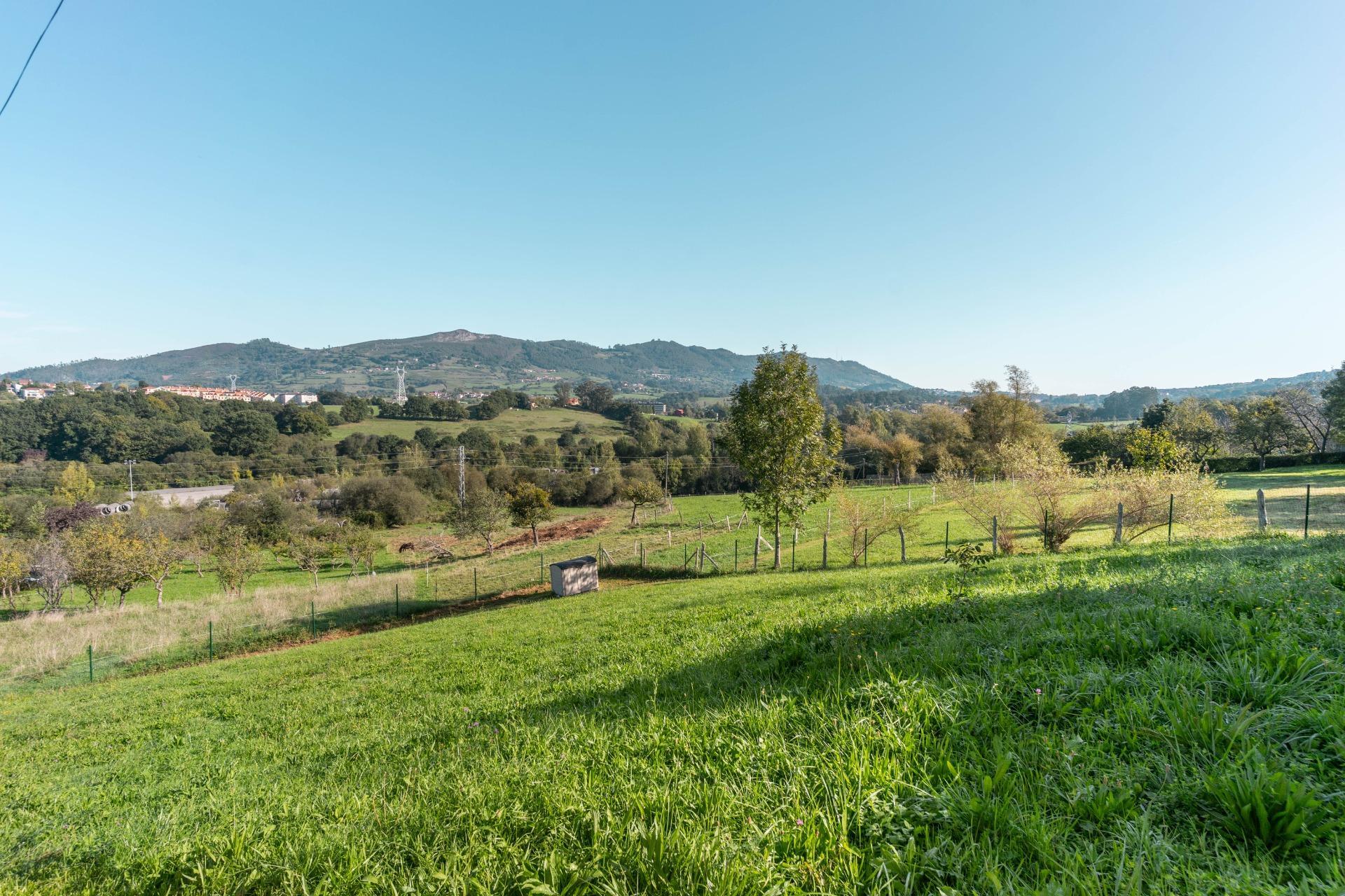 Fincas y solares-Venta-Oviedo-988651-Foto-34