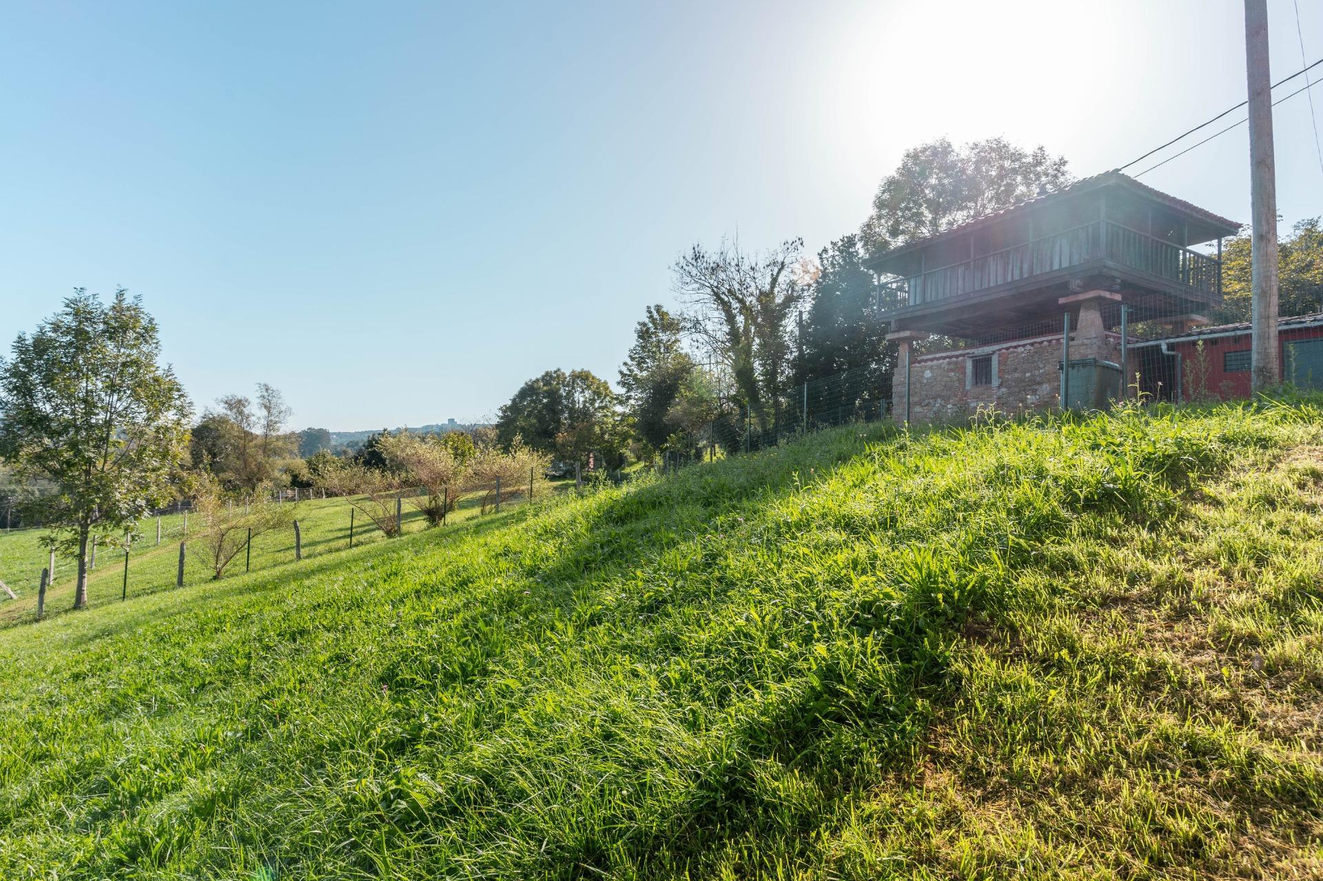 Fincas y solares-Venta-Oviedo-988651-Foto-33