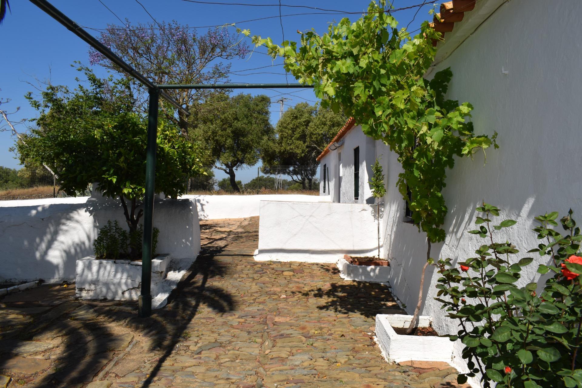 Pisos-Venta-Villanueva de los Castillejos-1731018-Foto-12