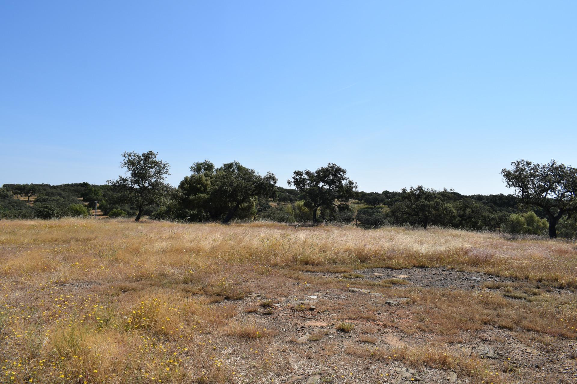 Pisos-Venta-Villanueva de los Castillejos-1731018-Foto-88