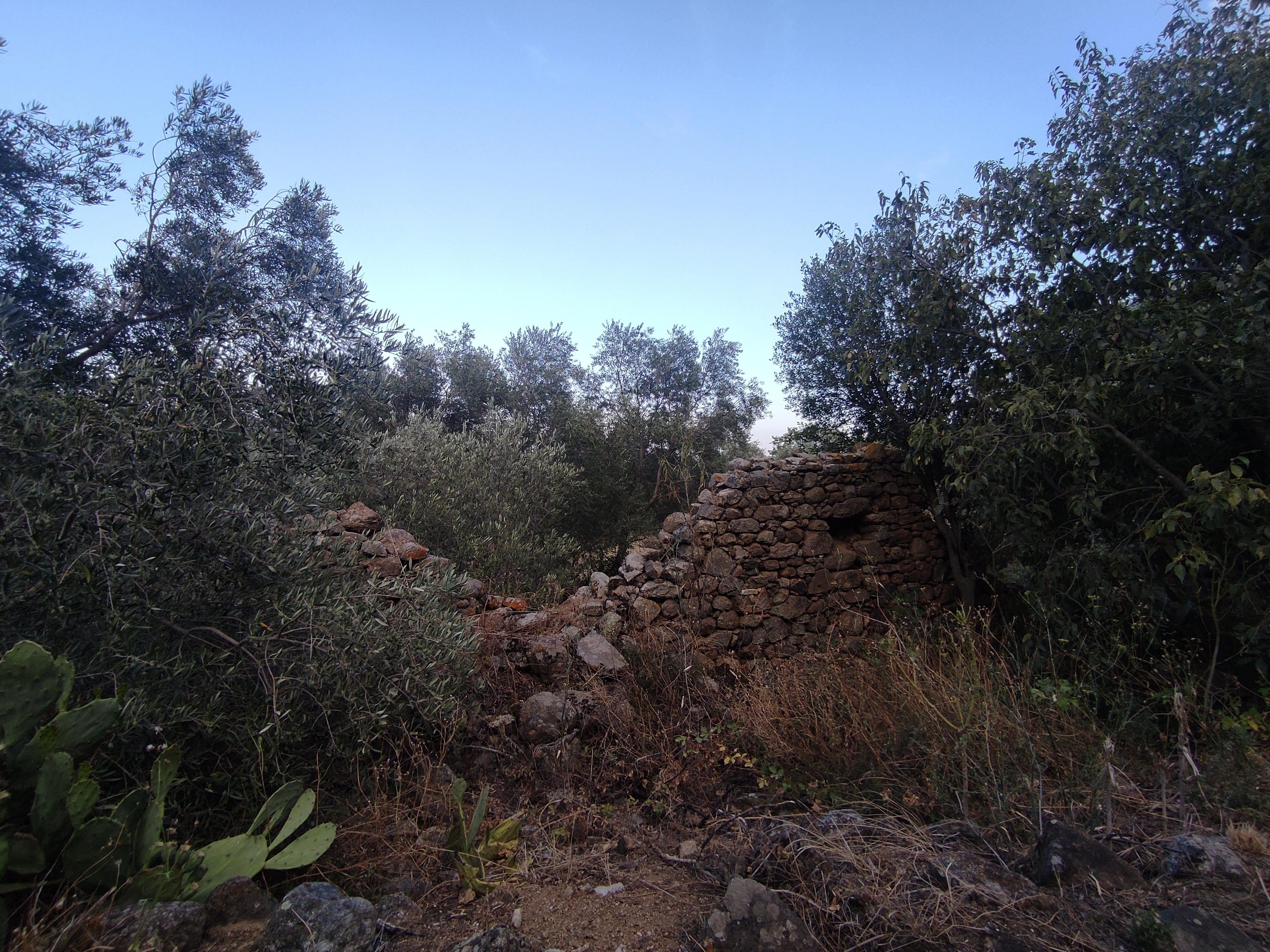 Casas o chalets-Venta-Sant Climent Sescebes-1765637-Foto-15