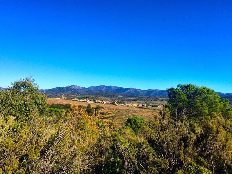Casas o chalets-Venta-Sant Climent Sescebes-1765637-Foto-20