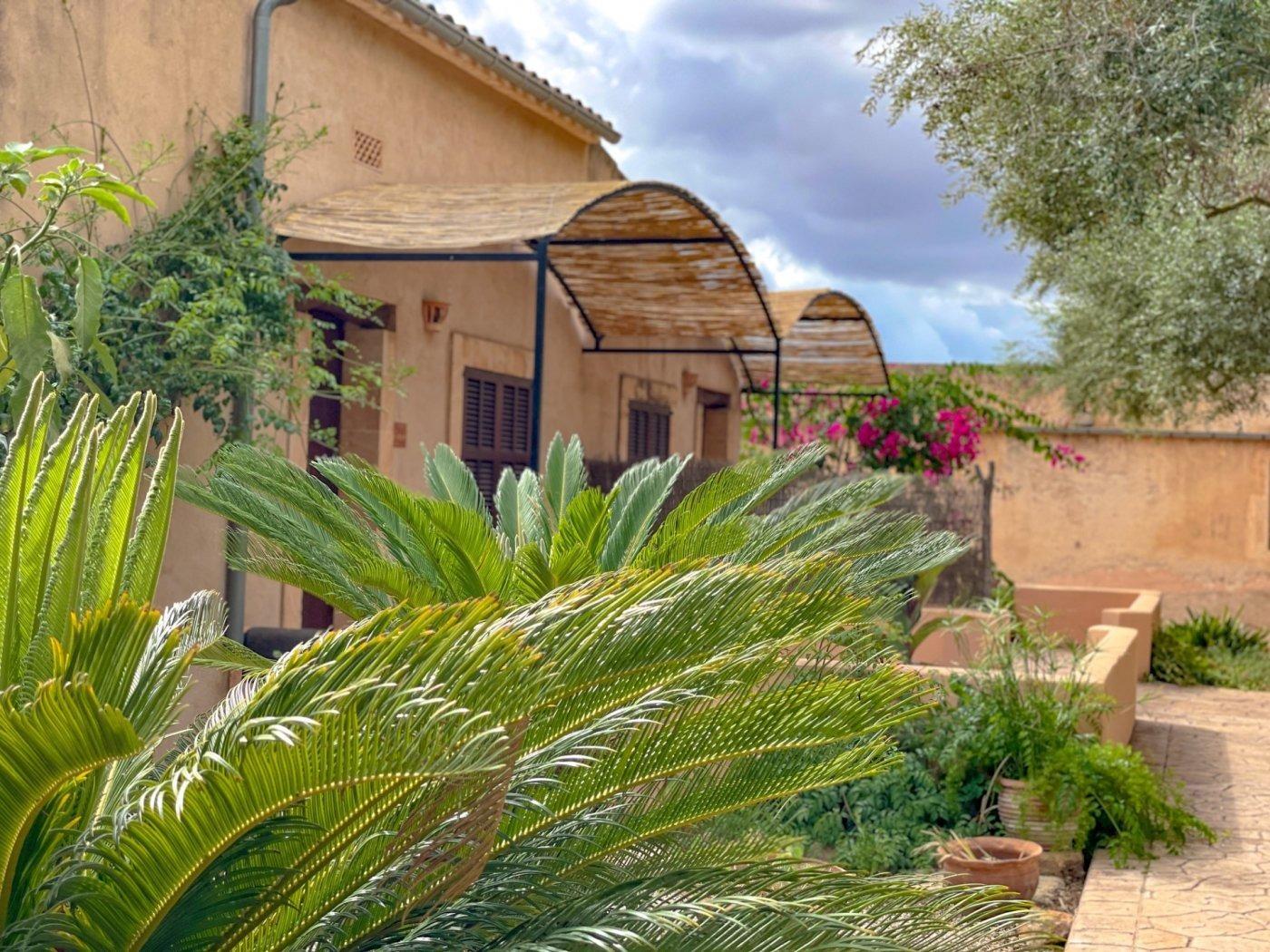 Pisos-Venta-Campos-1584308-Foto-17