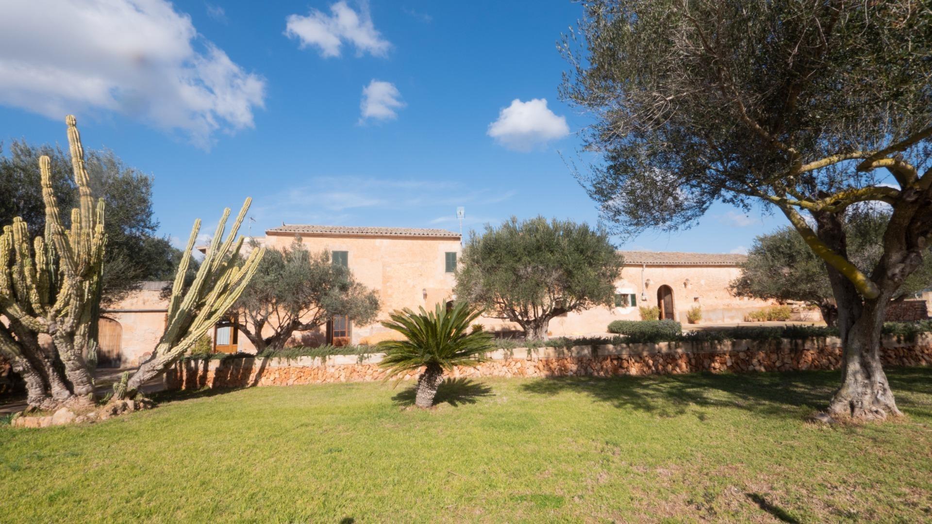 Pisos-Venta-Campos-1584308-Foto-27