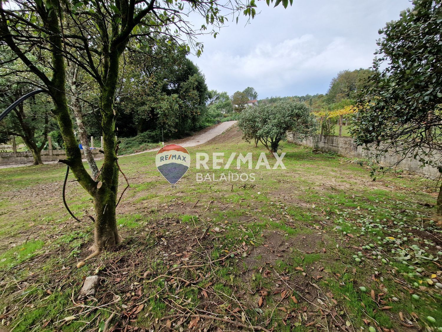 Casas o chalets-Venta-Tui-1438810-Foto-15
