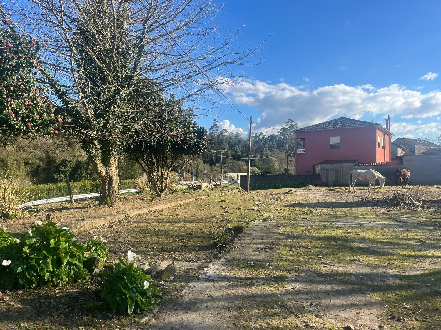 Propiedad en venta en Pontevedra, O Rosal
