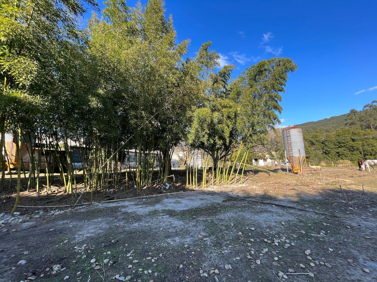 Propiedad en venta en Pontevedra, O Rosal