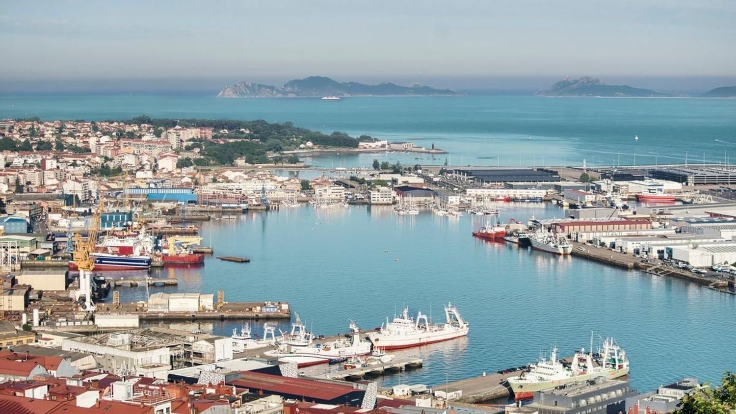 Negocios-Alquiler-Vigo-1439917-Foto-38