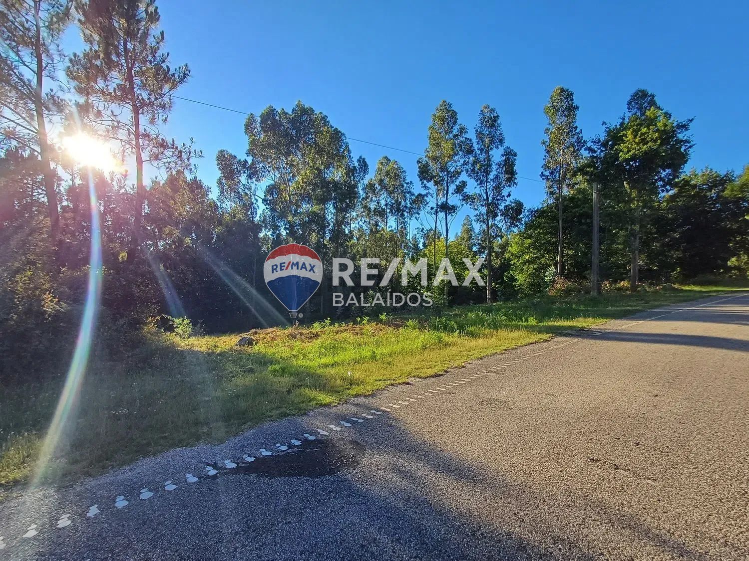 Fincas y solares-Venta-A CaÃ±iza-1385898-Foto-6