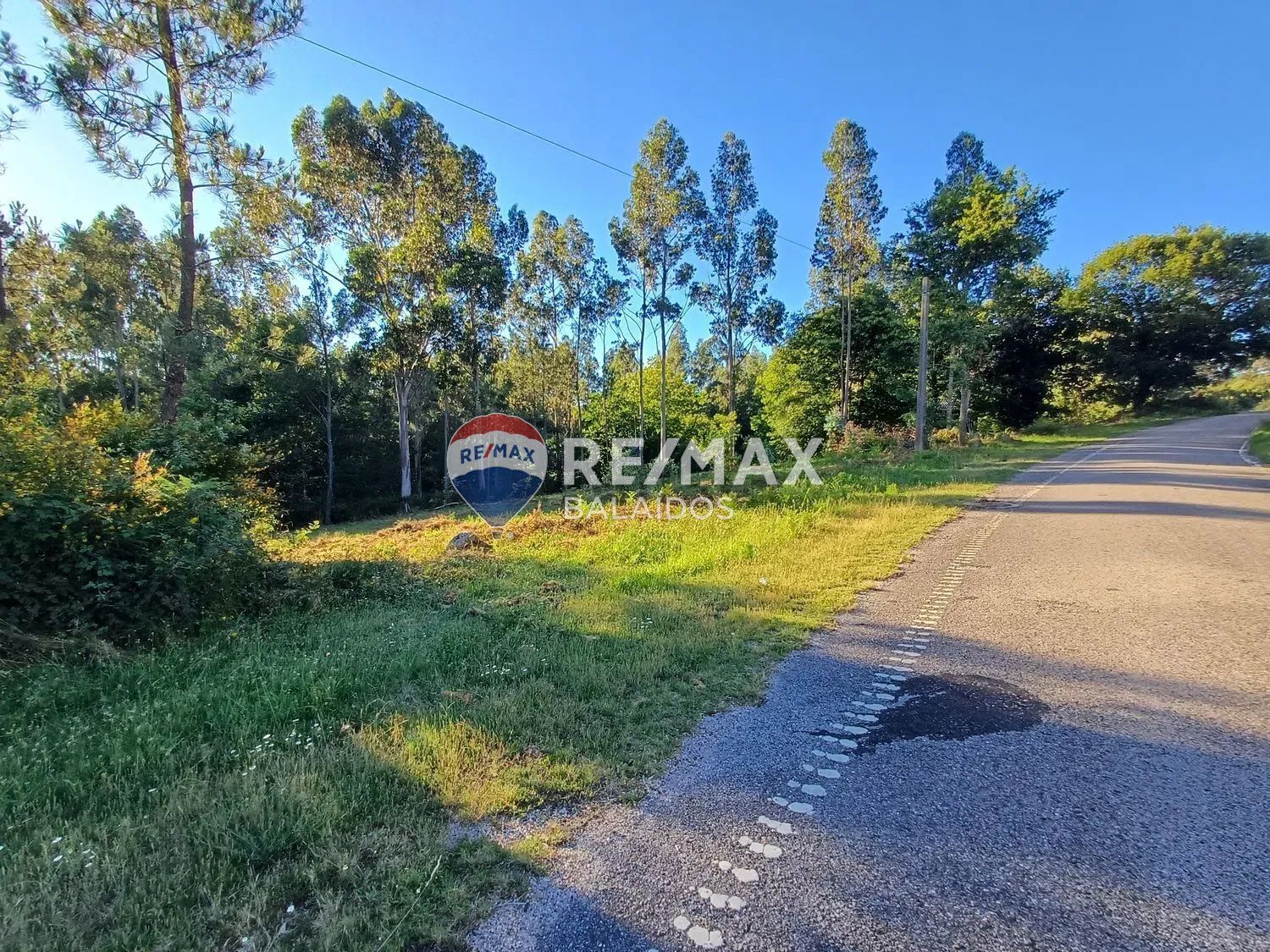 Fincas y solares-Venta-A CaÃ±iza-1385898-Foto-4