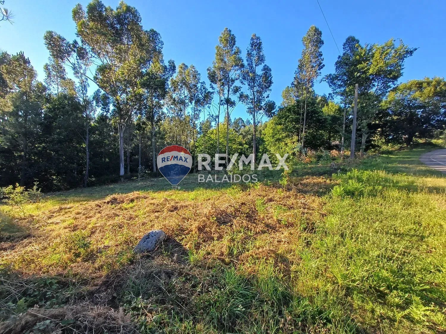 Fincas y solares-Venta-A CaÃ±iza-1385898-Foto-3