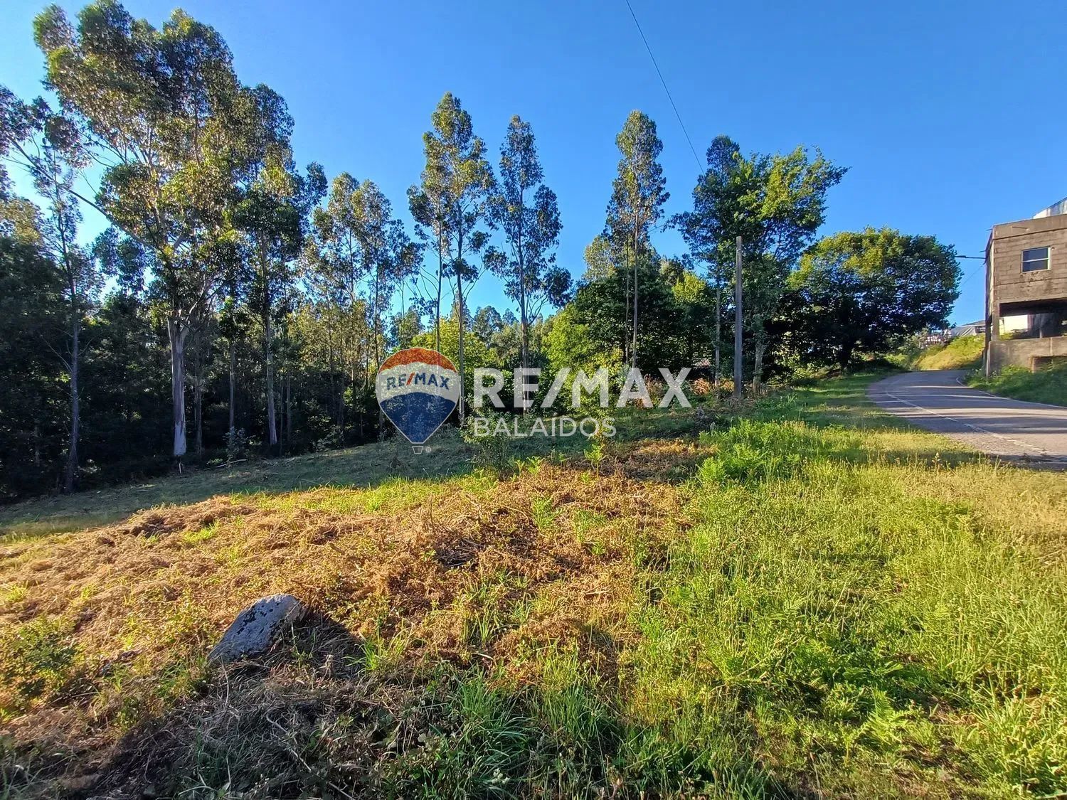 Fincas y solares-Venta-A CaÃ±iza-1385898-Foto-12