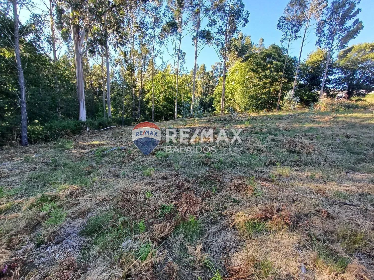 Fincas y solares-Venta-A CaÃ±iza-1385898-Foto-14