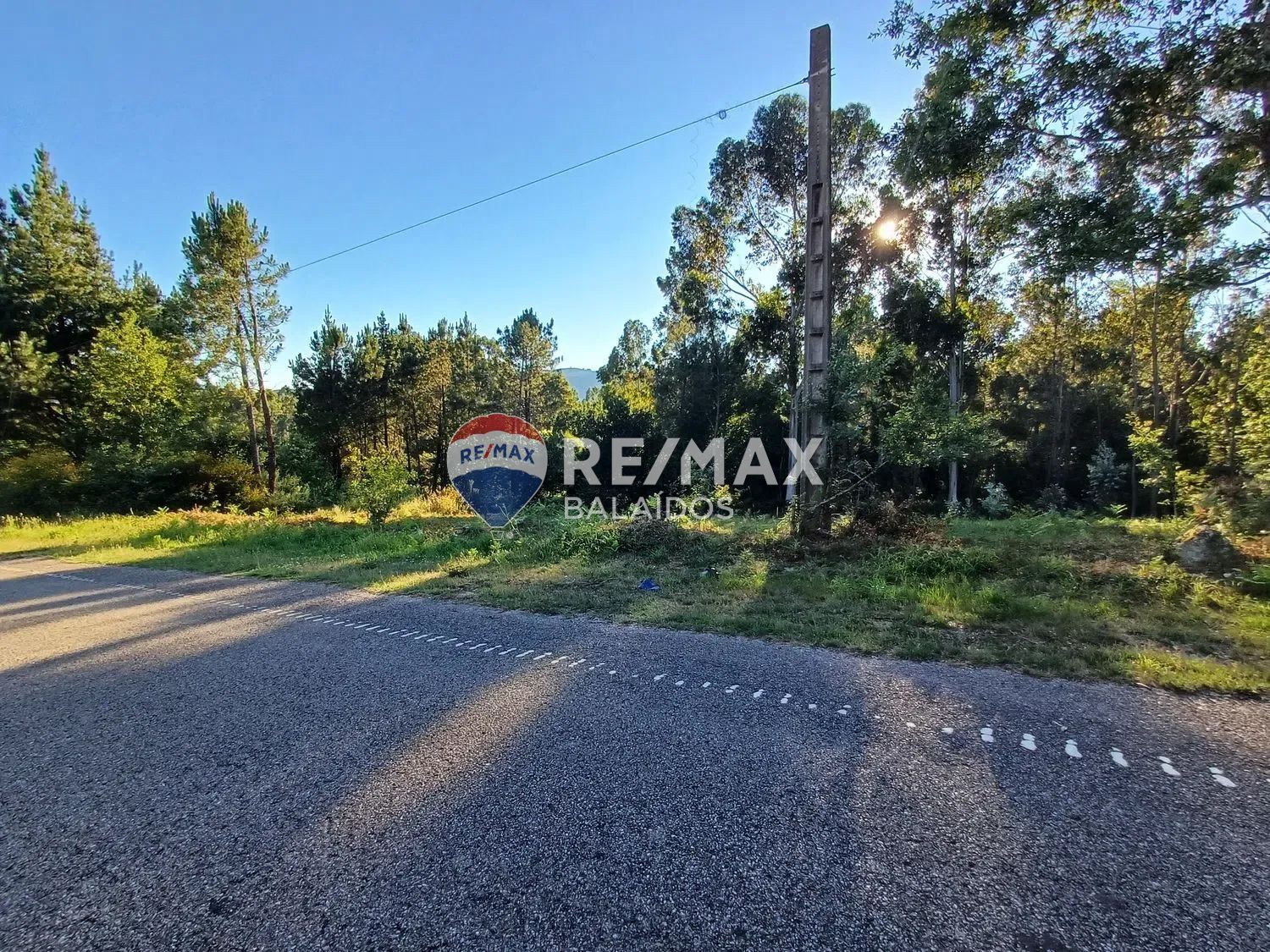 Fincas y solares-Venta-A CaÃ±iza-1385898-Foto-13