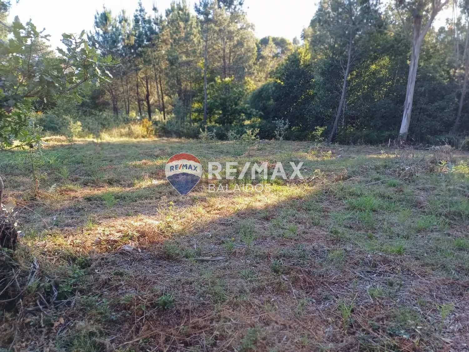 Fincas y solares-Venta-A CaÃ±iza-1385898-Foto-10
