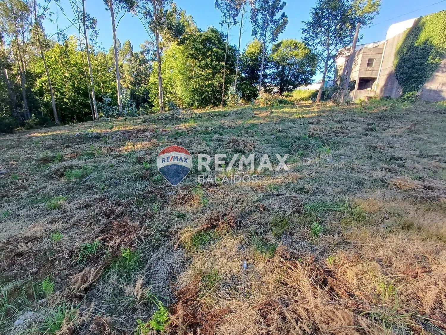 Fincas y solares-Venta-A CaÃ±iza-1385898-Foto-9