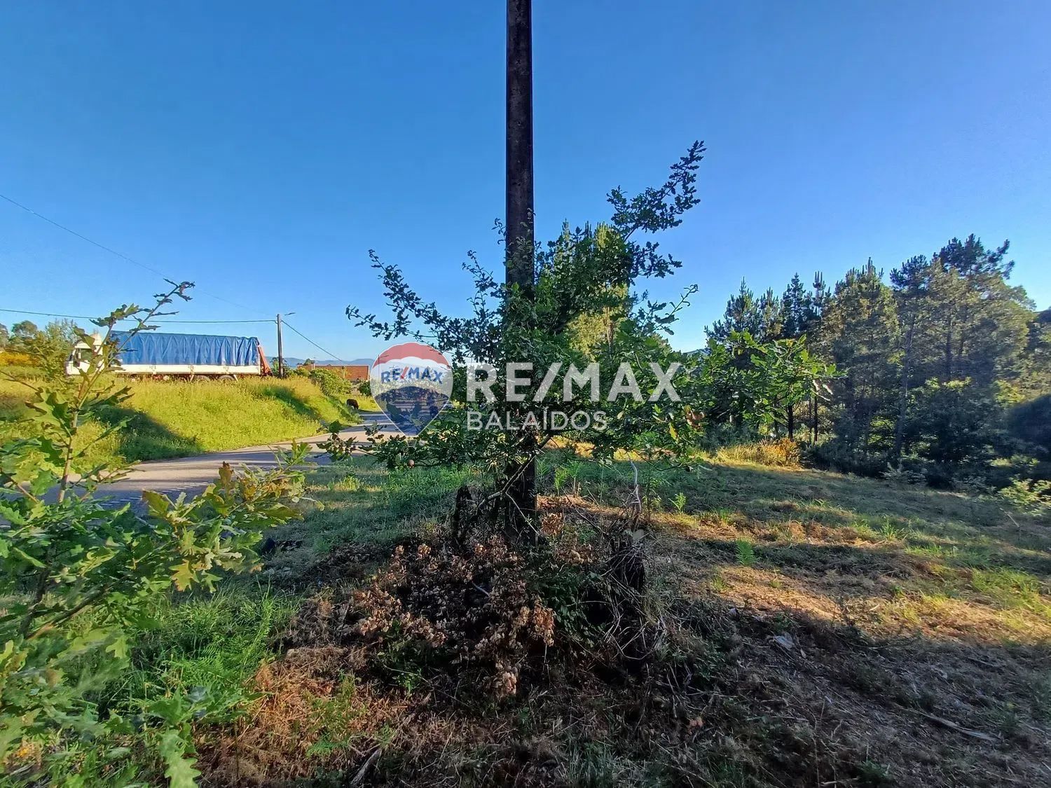 Fincas y solares-Venta-A CaÃ±iza-1385898-Foto-7