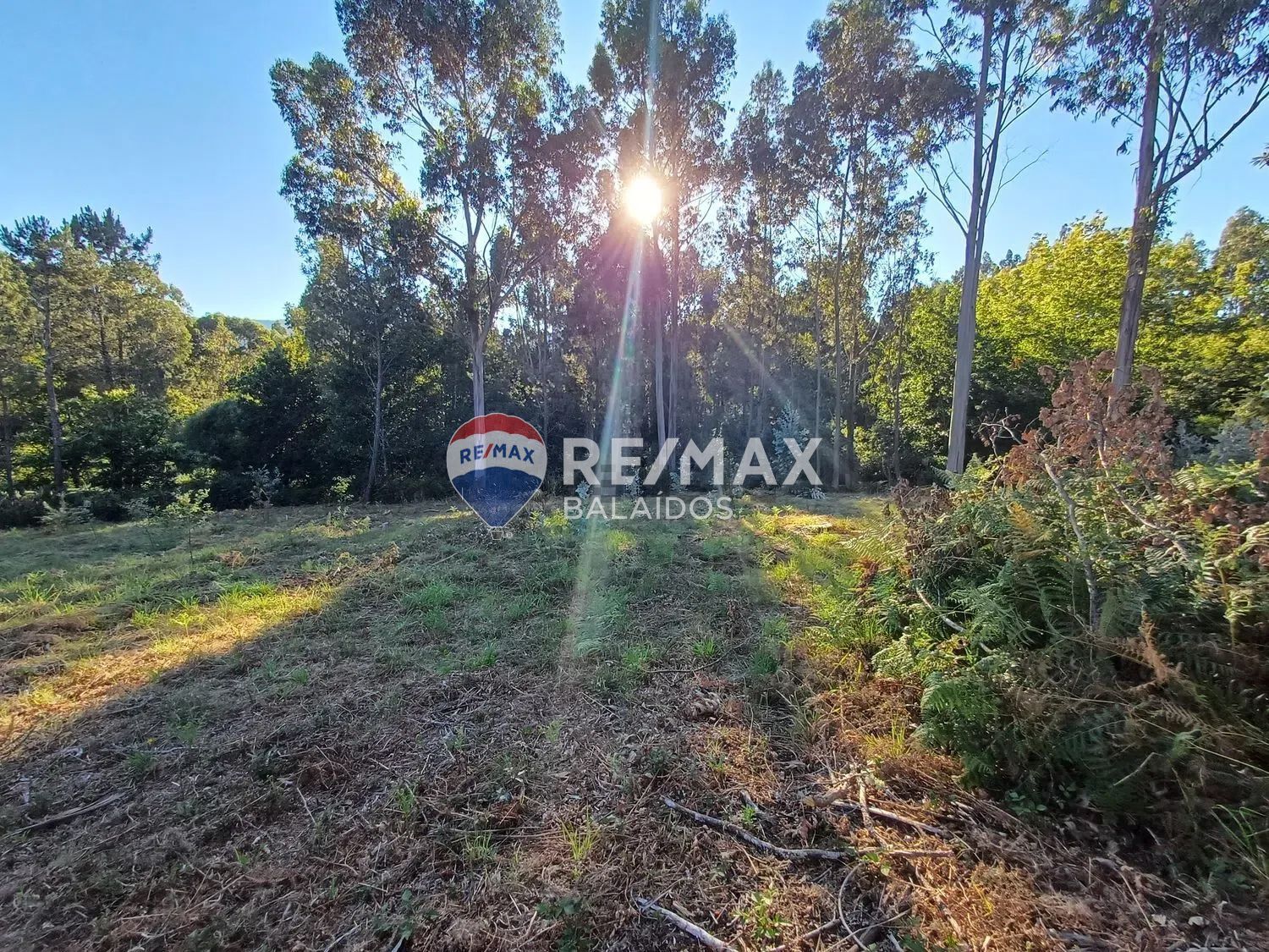 Fincas y solares-Venta-A CaÃ±iza-1385898-Foto-15