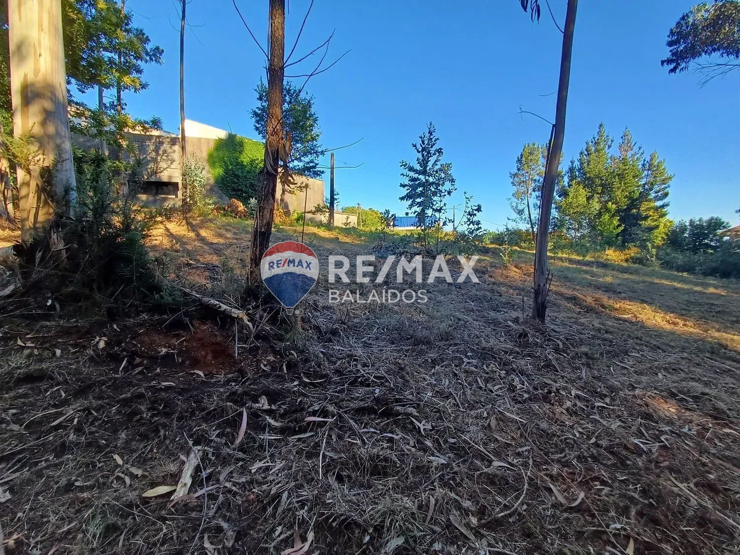 Fincas y solares-Venta-A CaÃ±iza-1385898-Foto-8