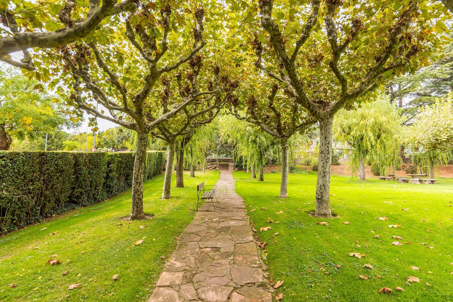 Pisos-Venta-El Escorial-1426593-Foto-52