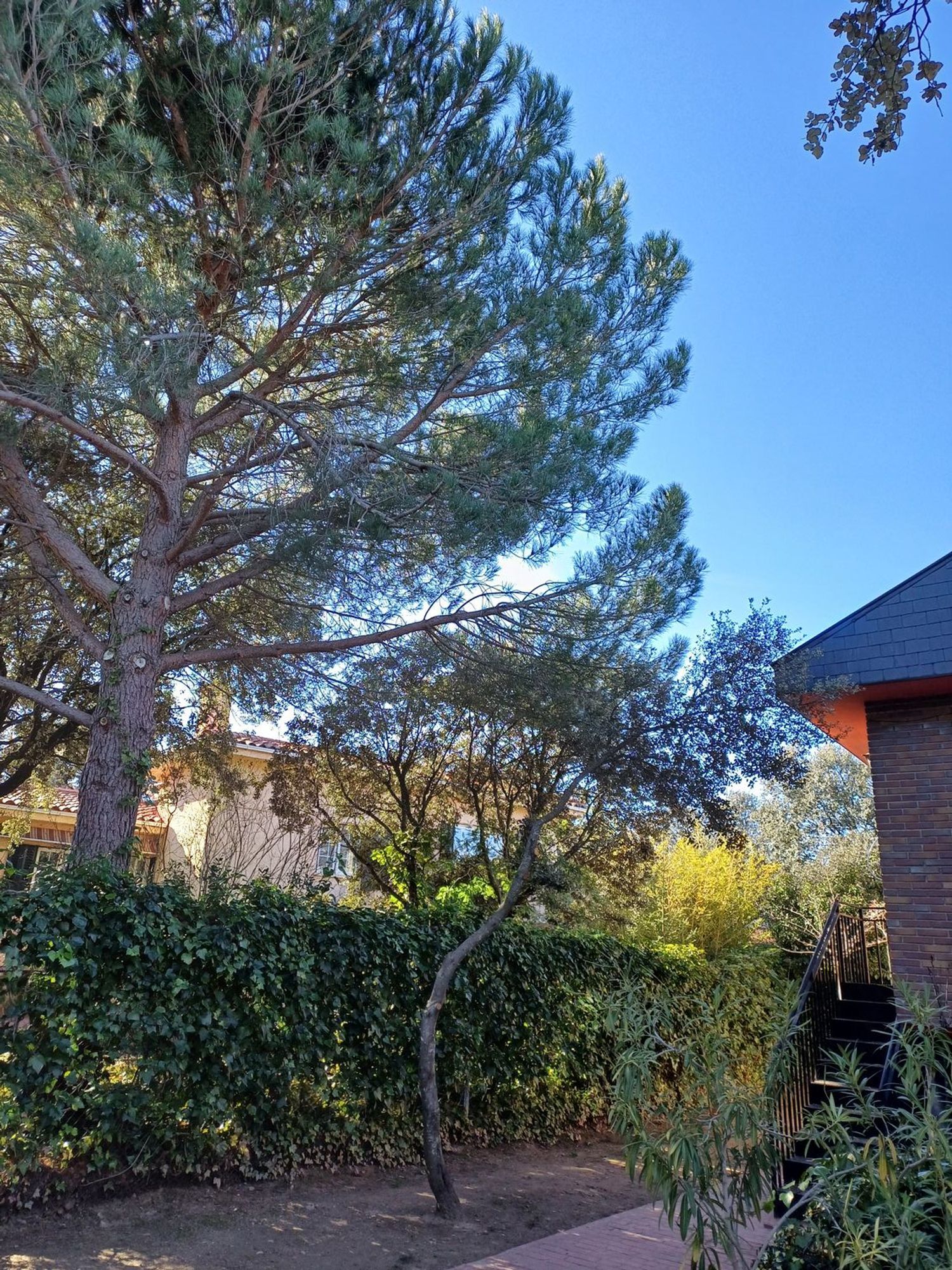Casas o chalets-Venta-Valdemorillo-1521188-Foto-56