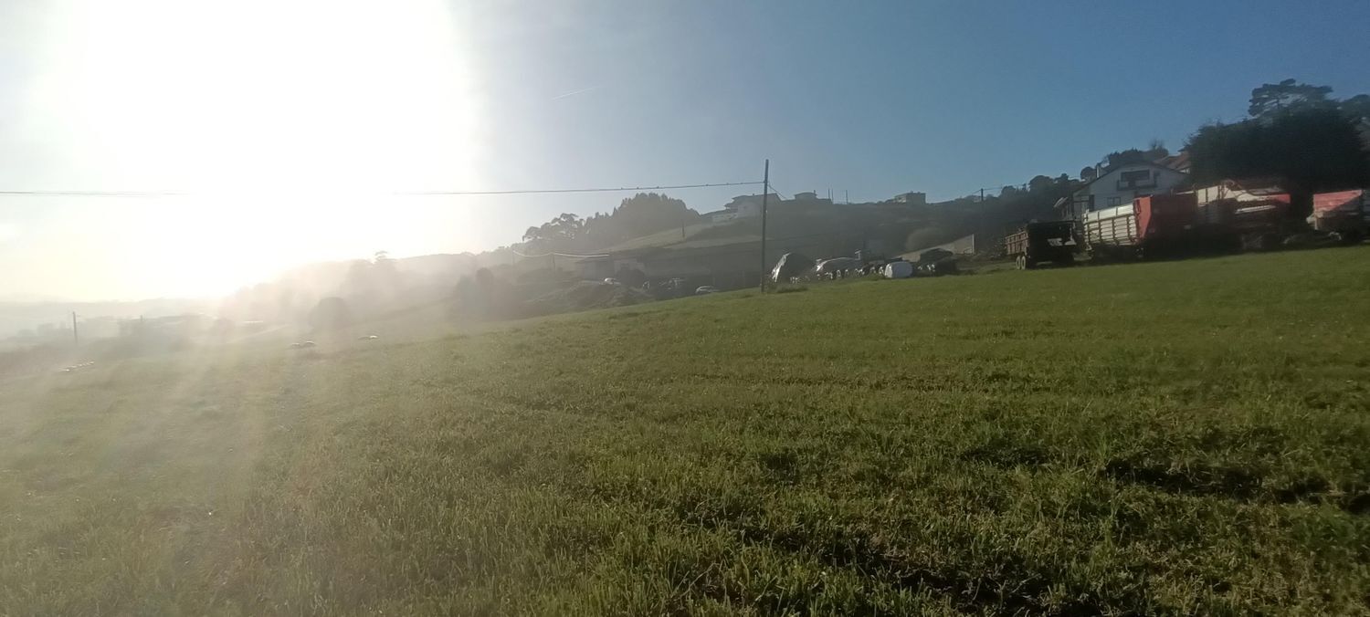 Fincas y solares-Venta-GozÃ³n-666514-Foto-22
