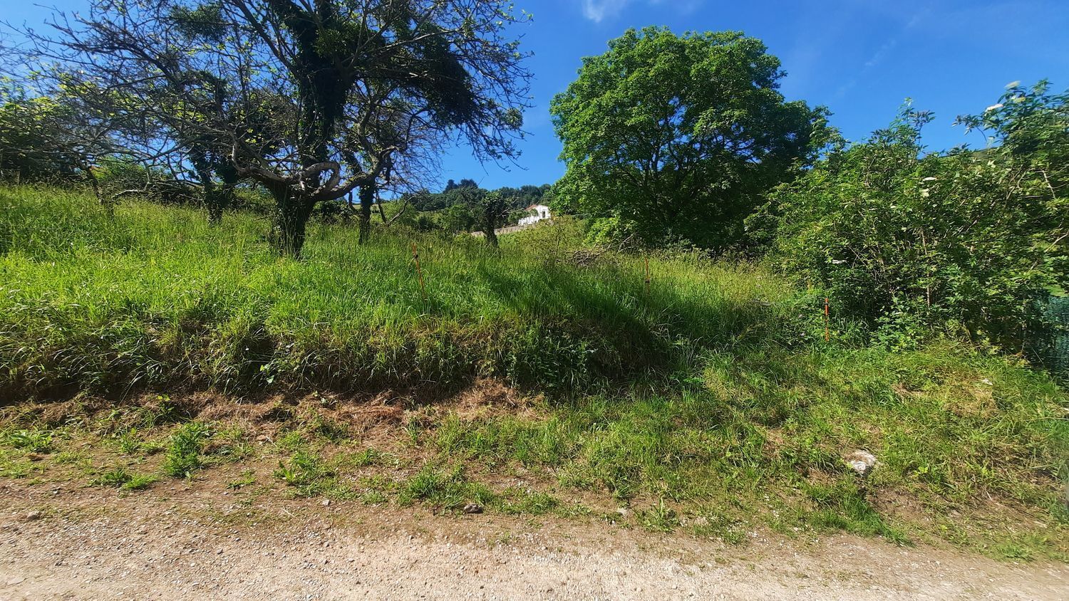 Fincas y solares-Venta-GijÃ³n-1121363-Foto-9