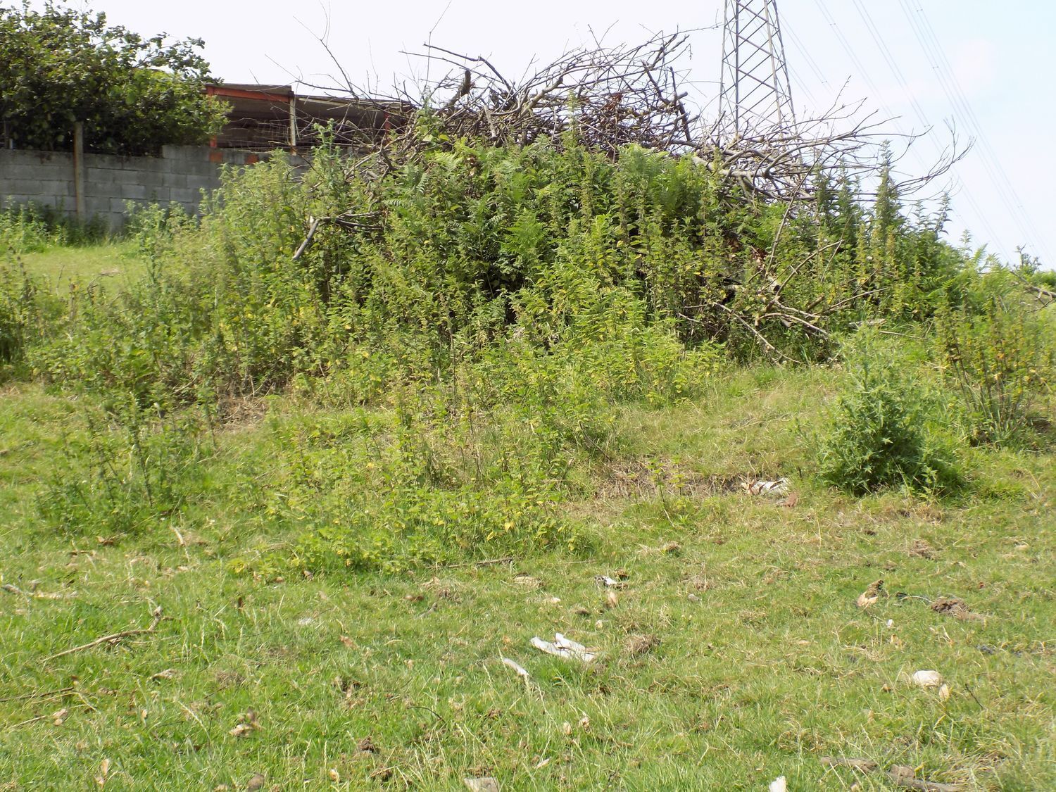 Fincas y solares-Venta-GijÃ³n-908089-Foto-24