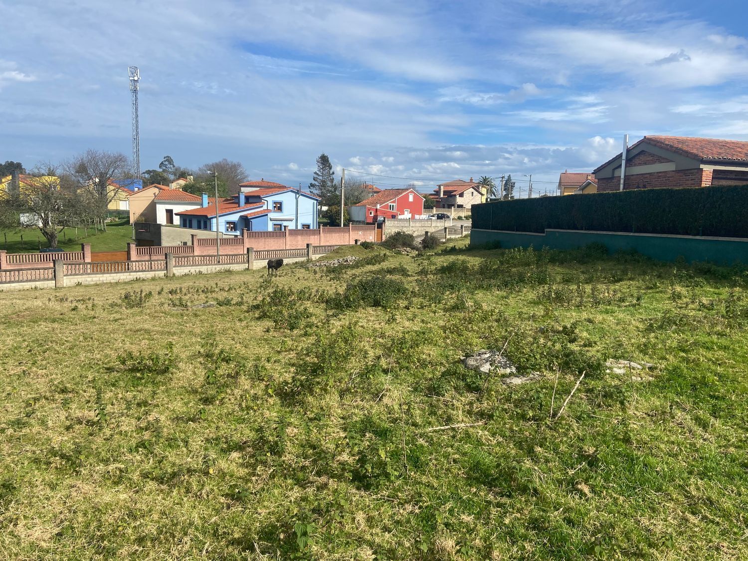 Fincas y solares-Venta-Muros de NalÃ³n-684905-Foto-2
