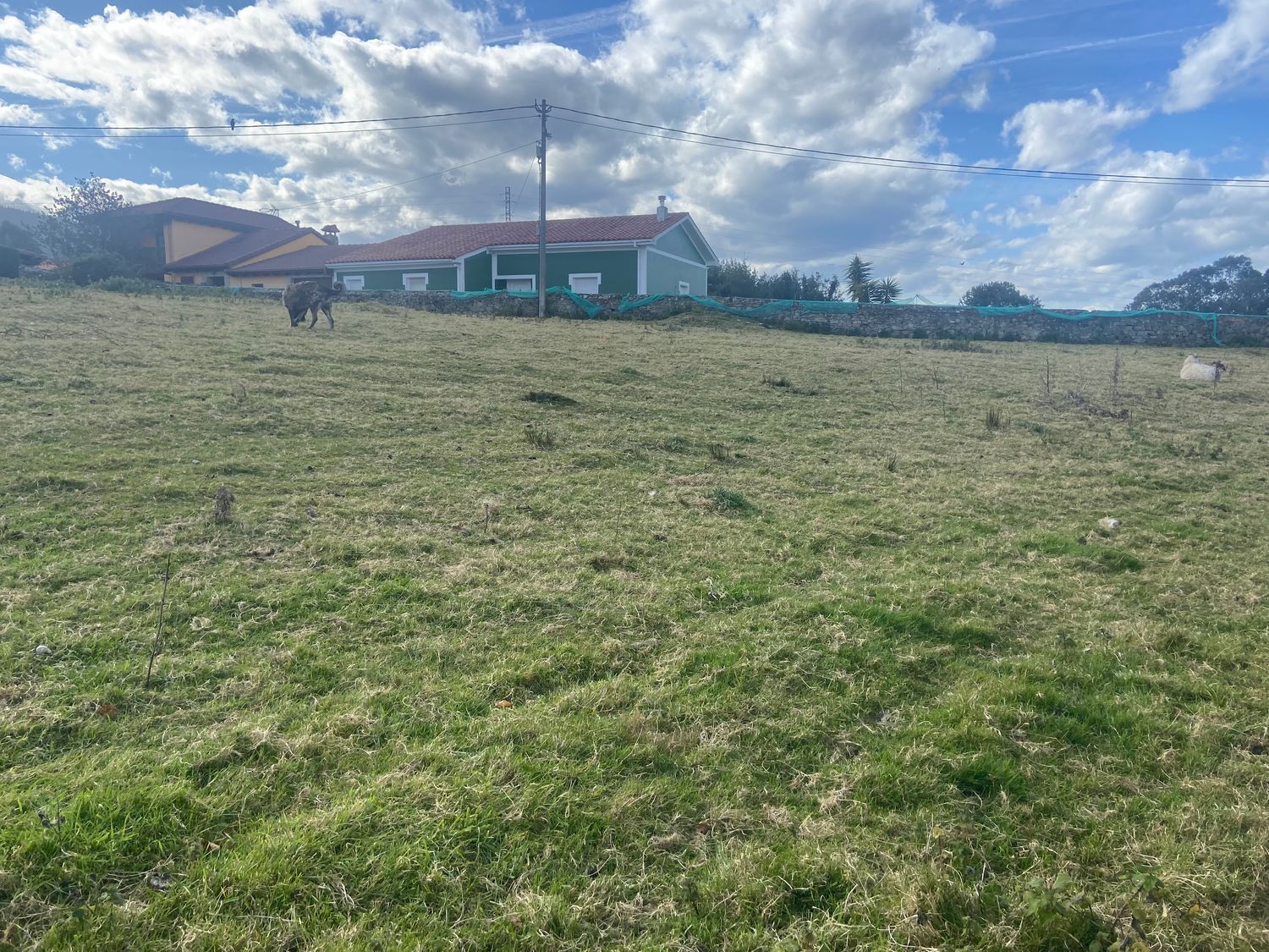 Fincas y solares-Venta-Muros de NalÃ³n-684905-Foto-13