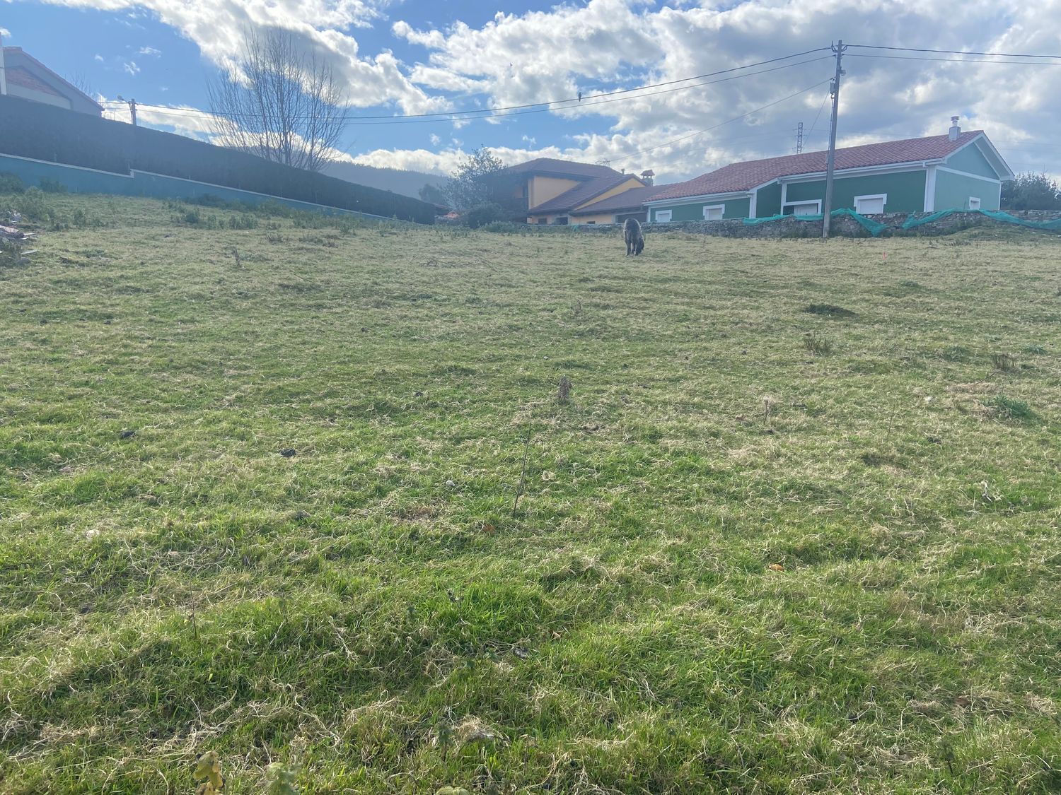 Fincas y solares-Venta-Muros de NalÃ³n-684905-Foto-24