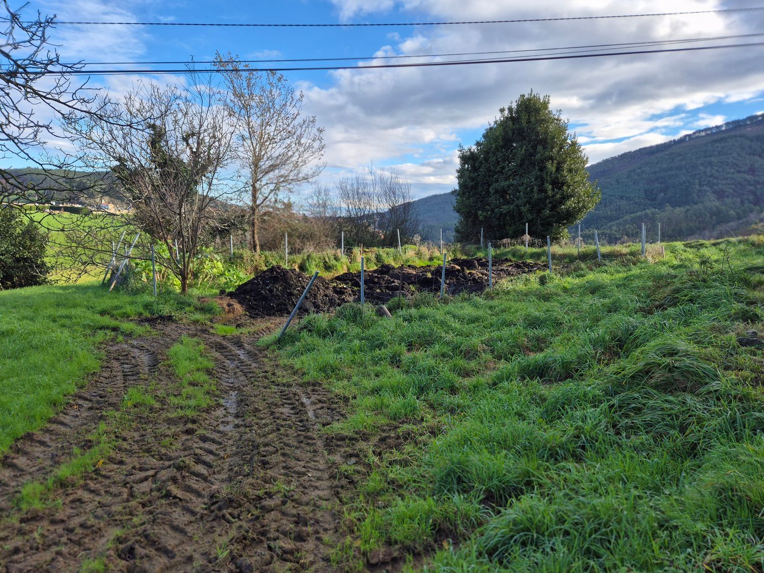 Fincas y solares-Venta-Cudillero-1653404-Foto-27