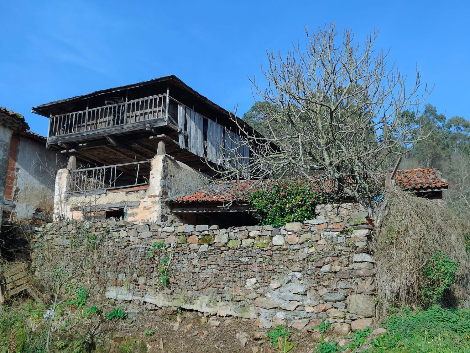 Casas o chalets-Venta-ValdÃ©s-1653722-Foto-34