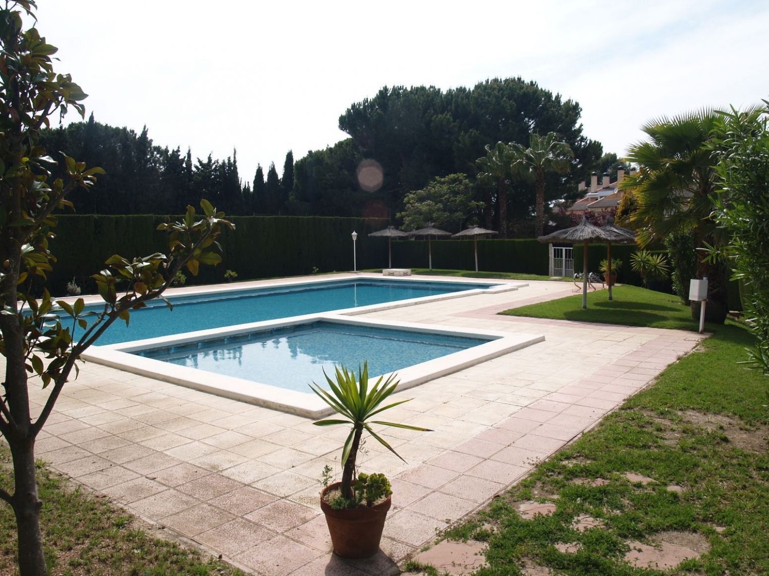 Casas o chalets-Venta-Petrer-1731811-Foto-37