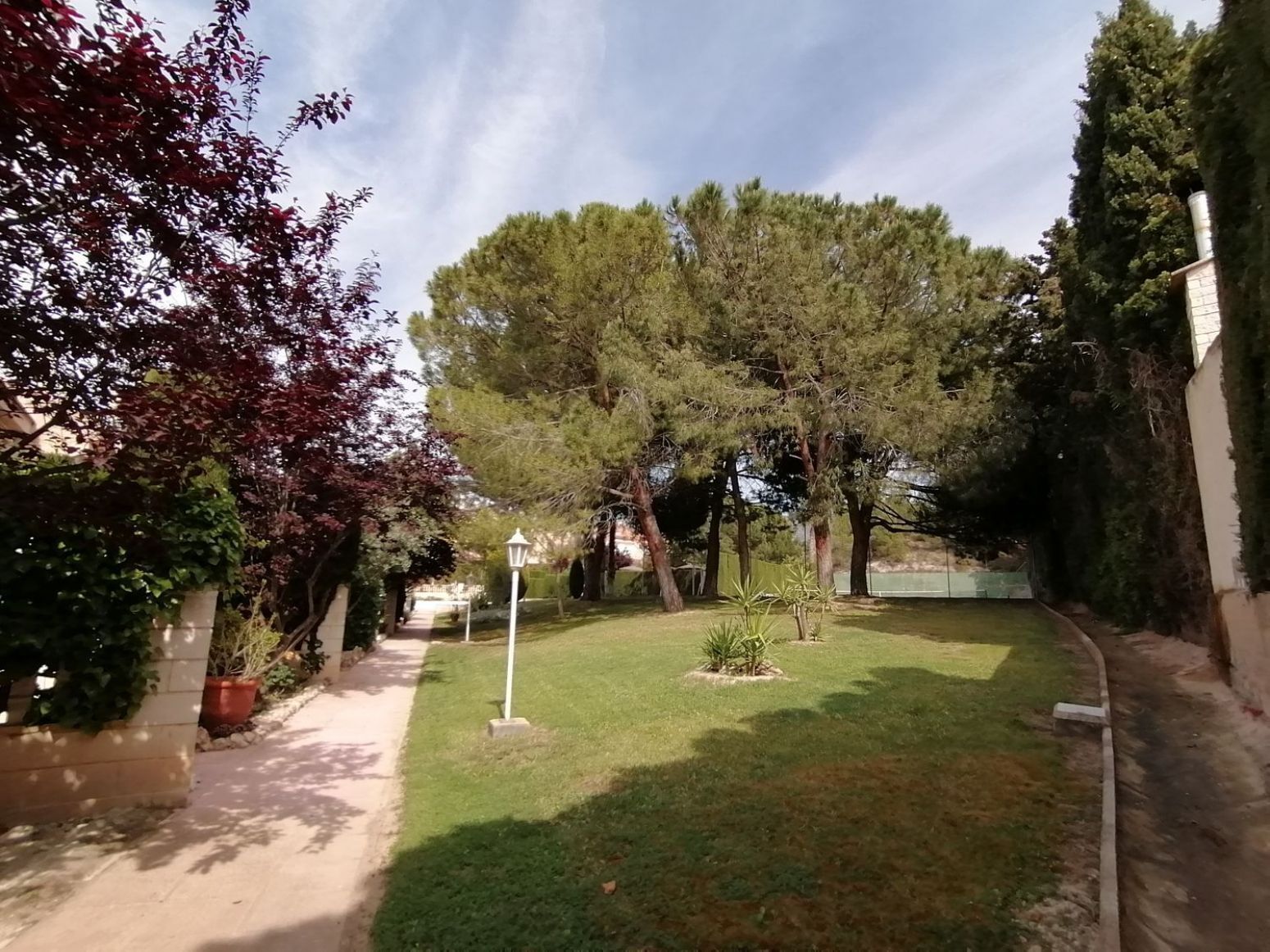 Casas o chalets-Venta-Petrer-1731811-Foto-42