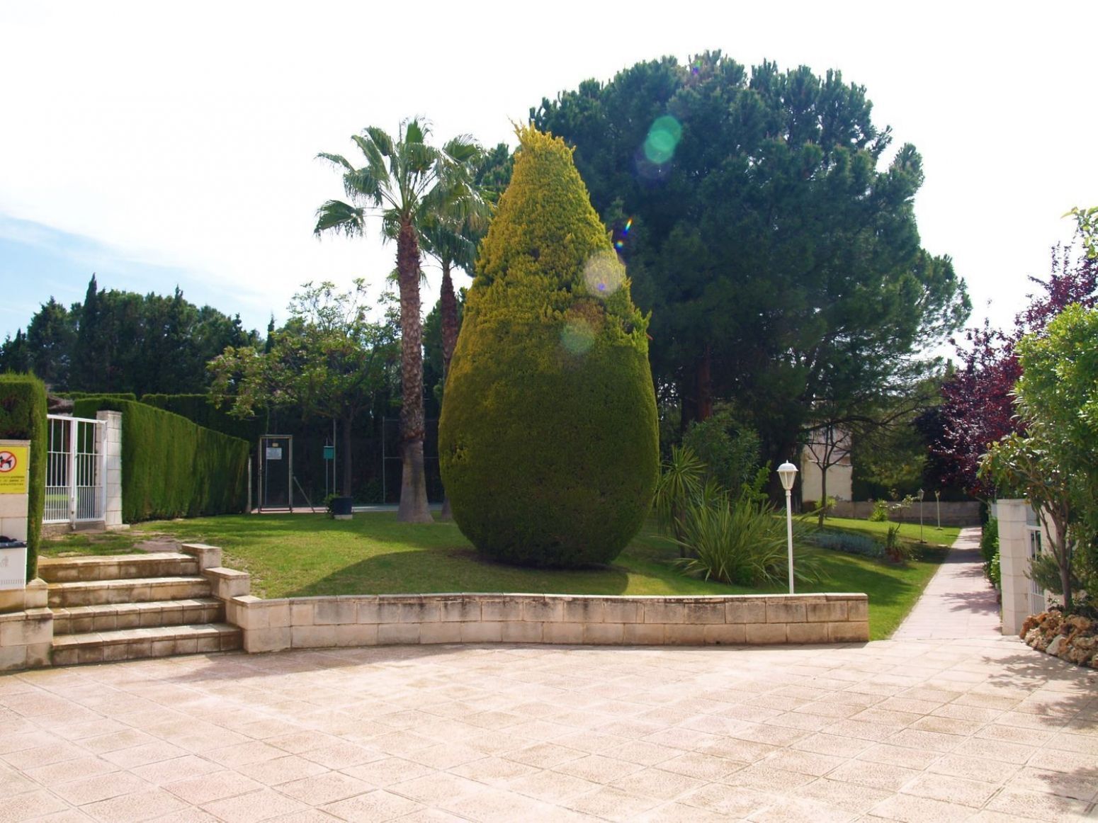 Casas o chalets-Venta-Petrer-1731811-Foto-57